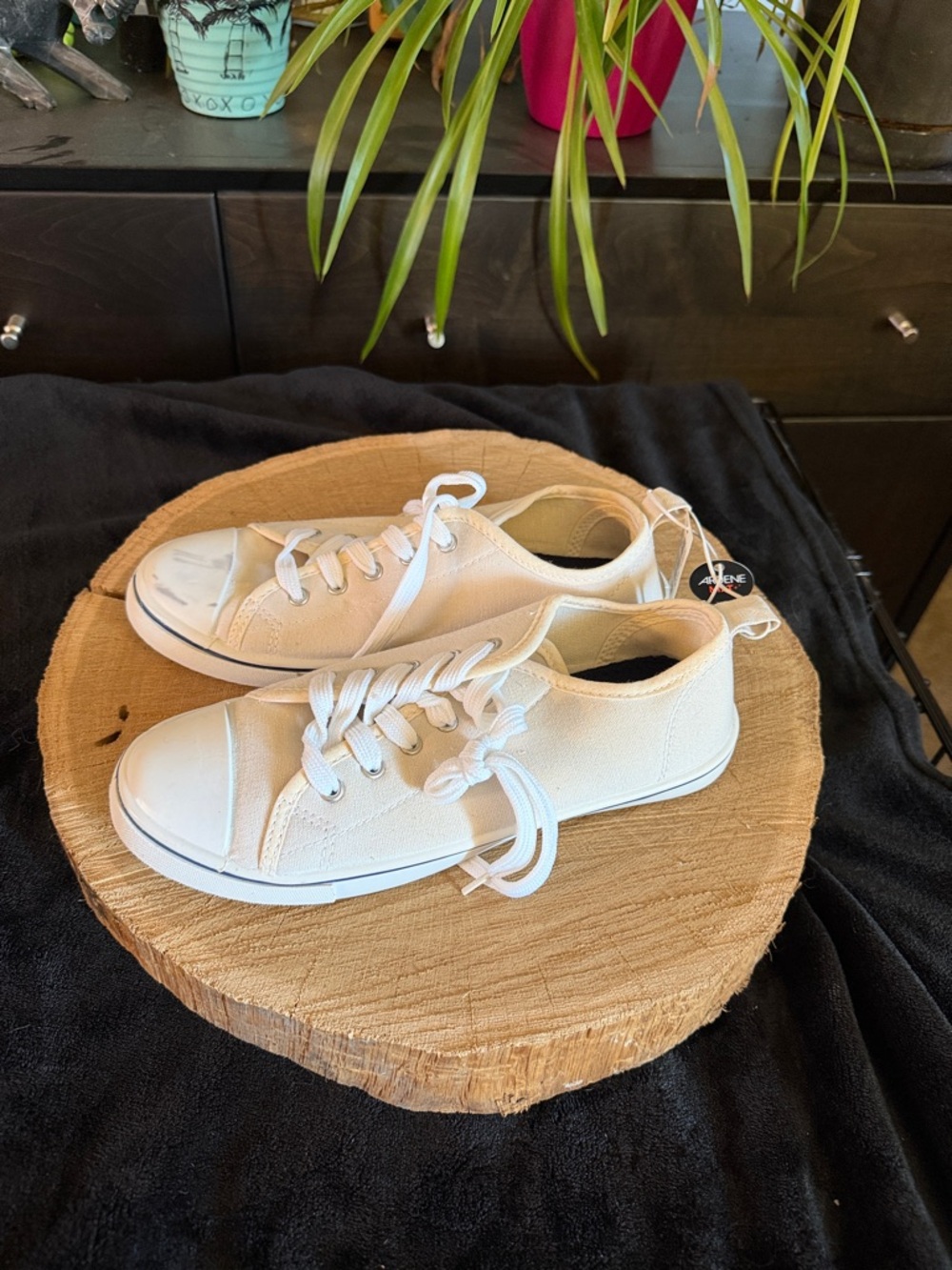 Classic White Women’s Canvas Sneakers